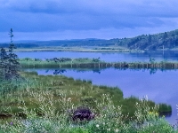 Nova Scotia